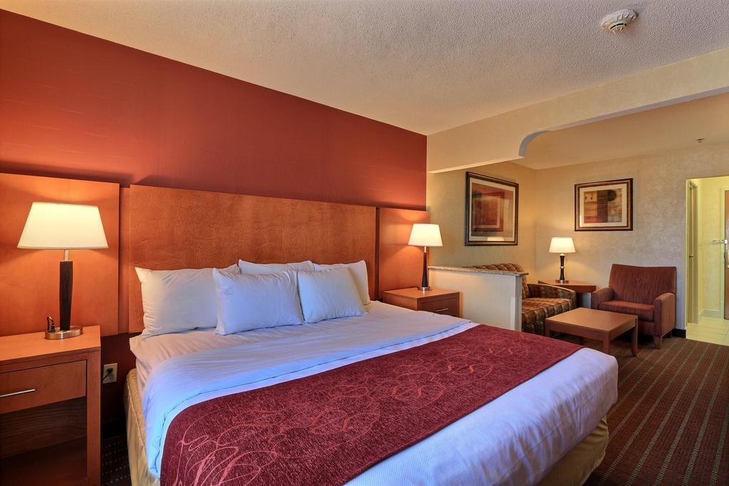 Comfort Suites Auburn Hills-Detroit מראה חיצוני תמונה