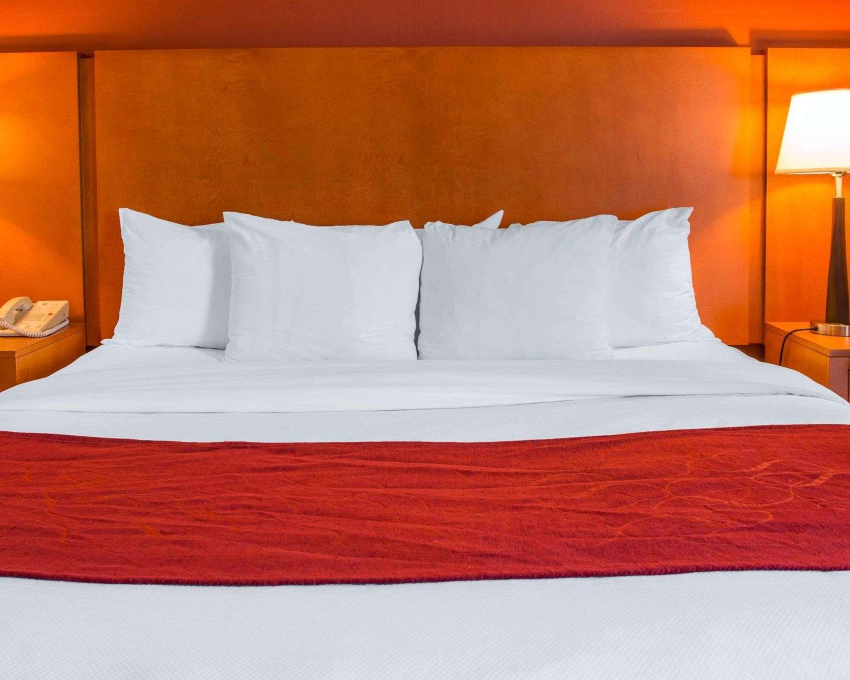 Comfort Suites Auburn Hills-Detroit מראה חיצוני תמונה