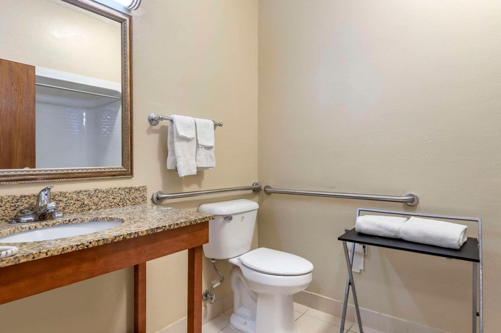 Comfort Suites Auburn Hills-Detroit מראה חיצוני תמונה